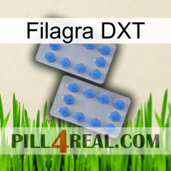 Filagra DXT 20